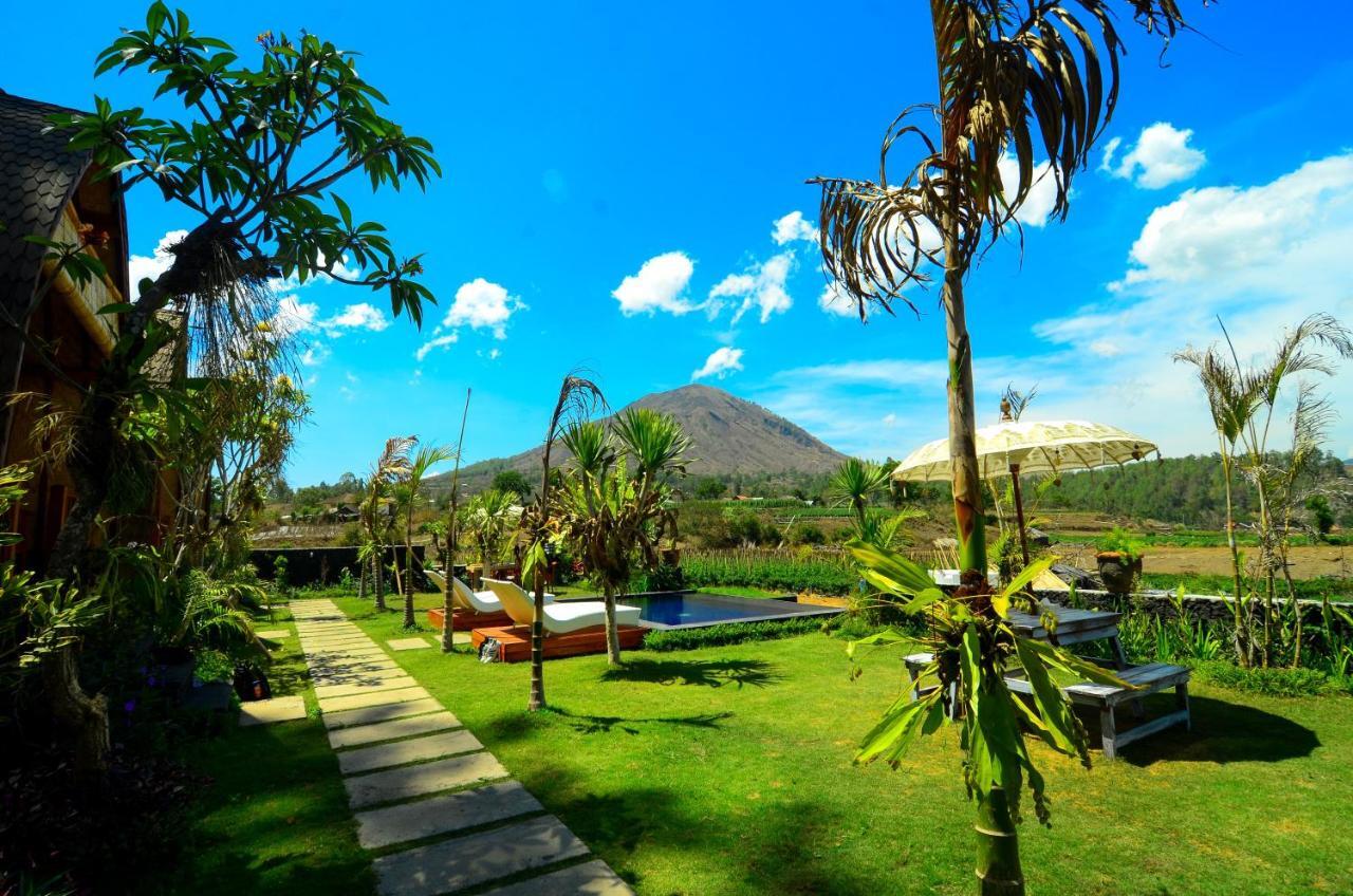 Batur Panorama Panzió Kintamani Kültér fotó